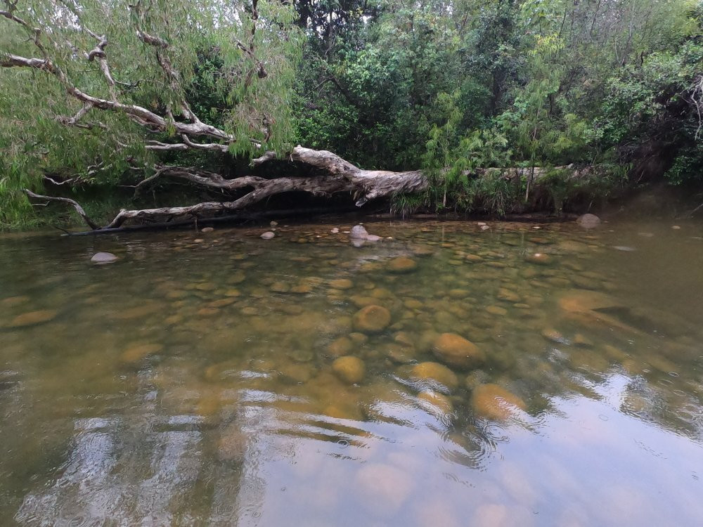 Stony Creek-Byfield必去景点