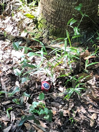 Morris Bridge Park-Thonotosassa必去景点