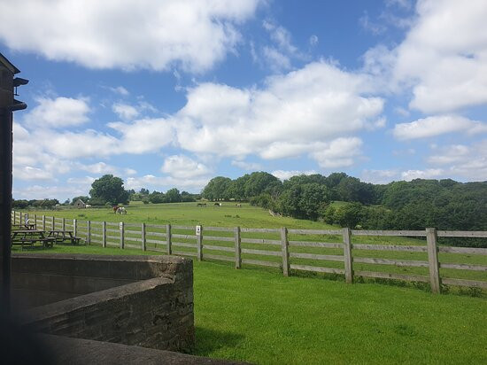 Holly Hill Inn主图