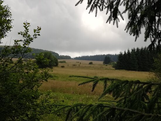 Jagdschloss Holzberg主图
