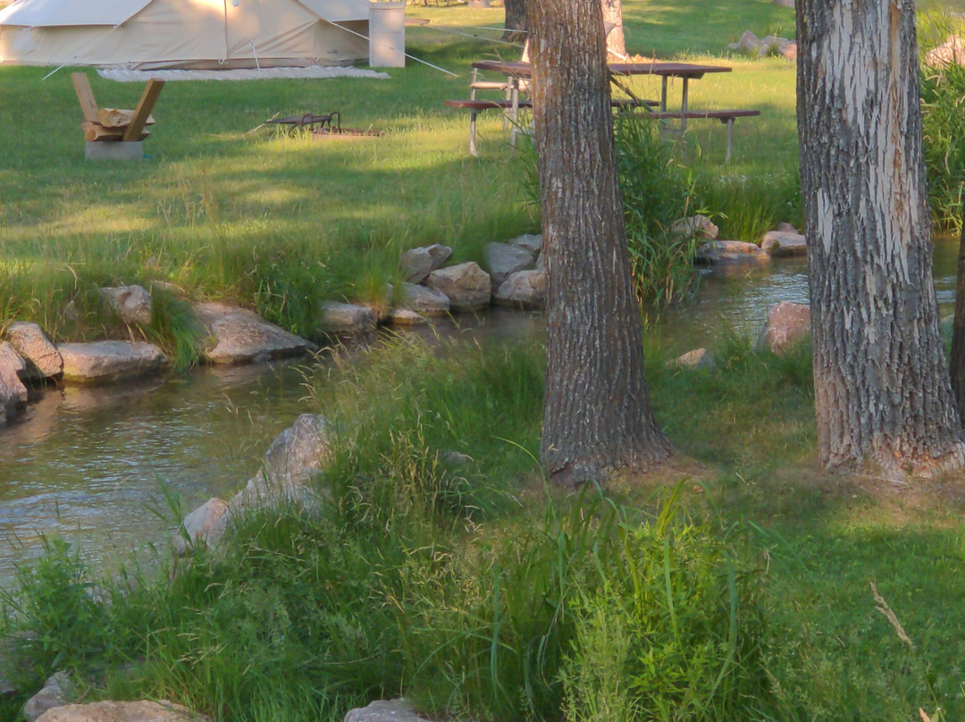 Beneath the Pines