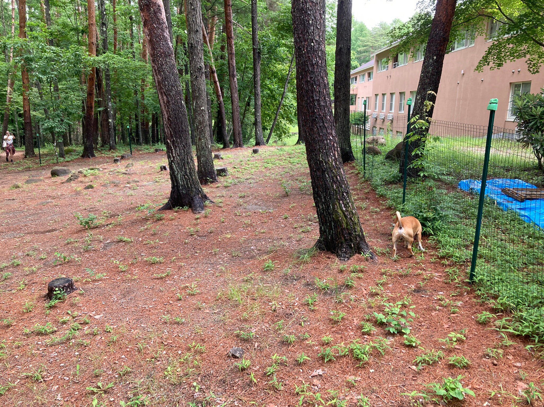 Yutorelo Tateshina Hotel with DOGS