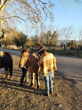 Cabalgatas Valle de Colchagua-圣克鲁斯必去景点