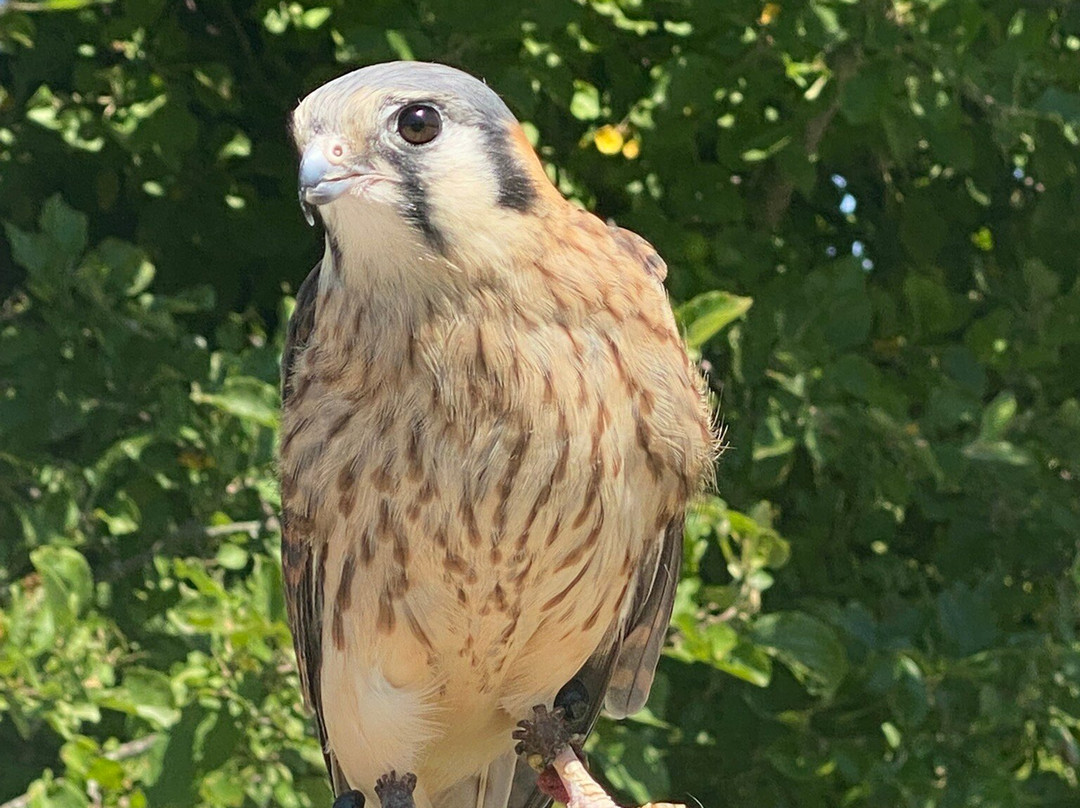 Open Door Bird Sanctuary-Jacksonport必去景点