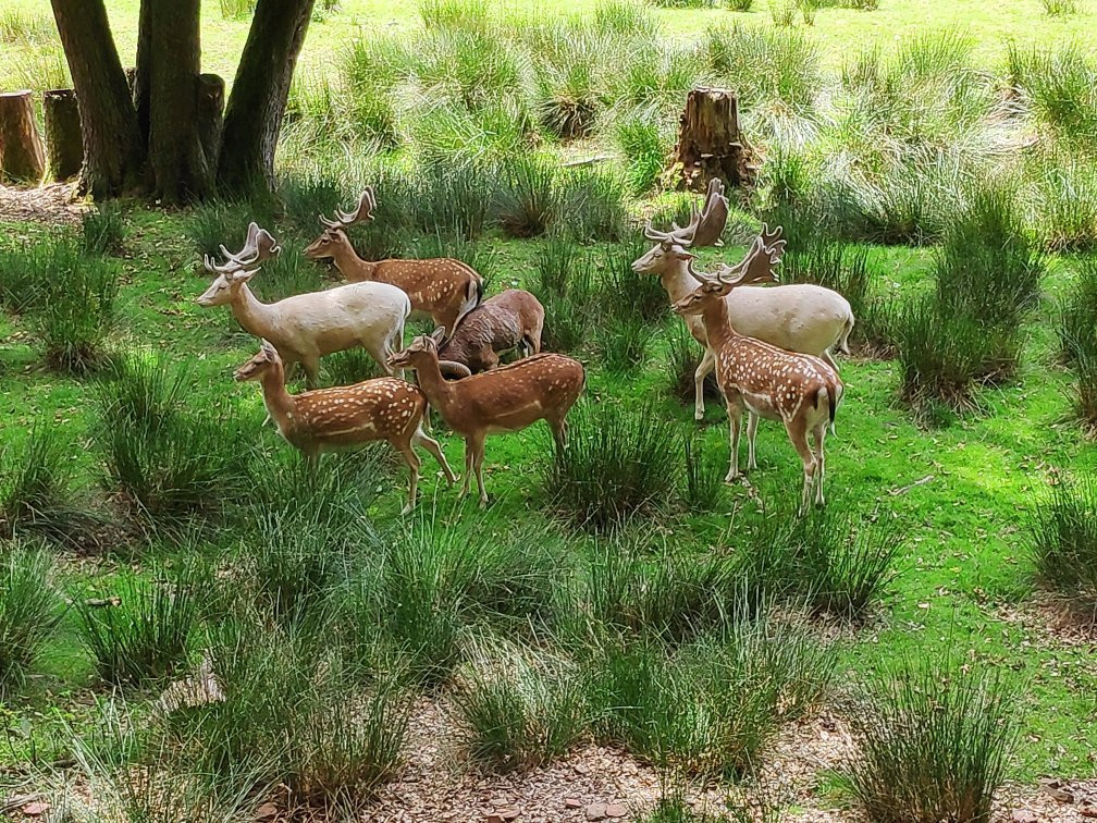 Bergtierpark Füerth-Erlenbach-Fuerth必去景点