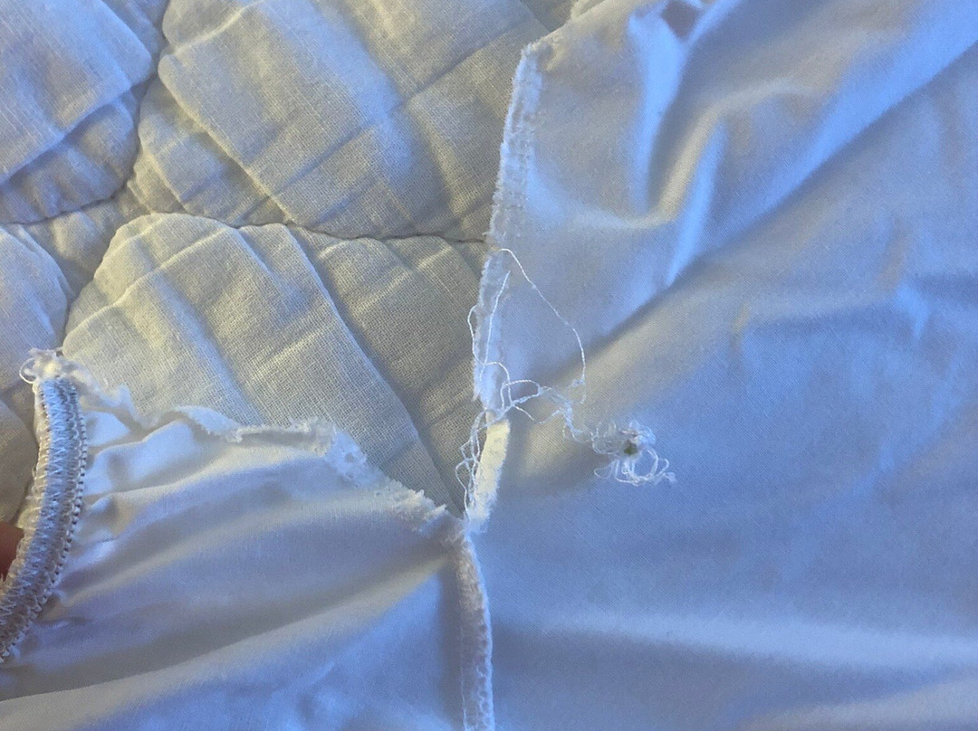 White Tail Resort主图