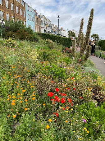 Victoria Gardens & Promenade景点图片