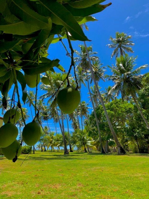 Pousada Paraiso Carneiros主图