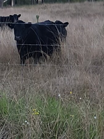 猎人谷度假村主图