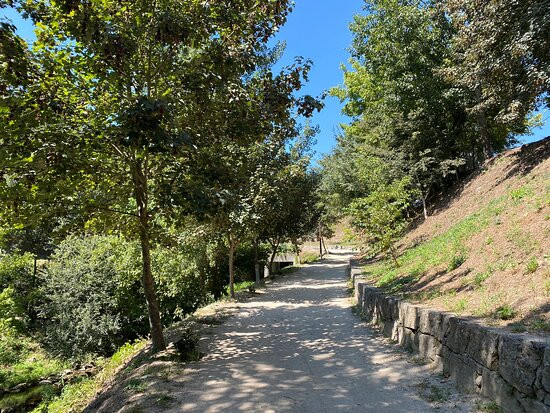 Parque Fluvial do Tamega景点图片