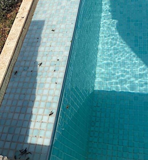 Vidikovac Levanda Luxury Apartments