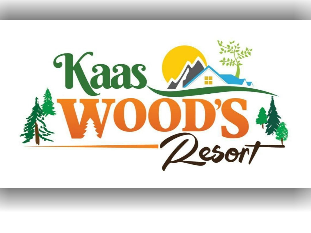 OYO 29951 Kaas Wood Resort主图