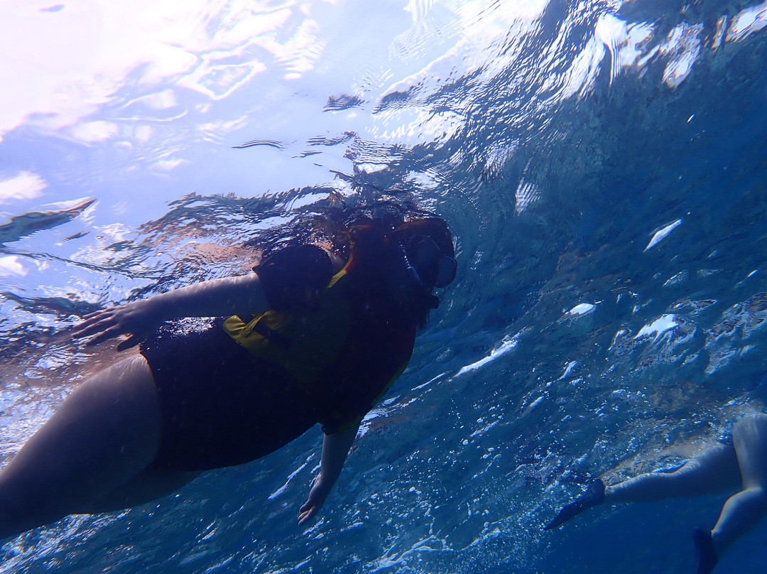 Snorkeling Menjangan Island景点图片