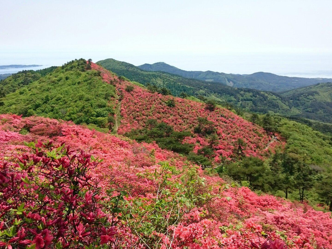 Mt. Tokusenjo景点图片
