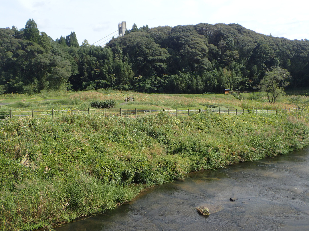 Miyahito River Biotope景点图片