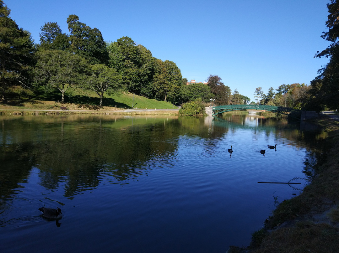 奥尔巴尼旅游攻略图片