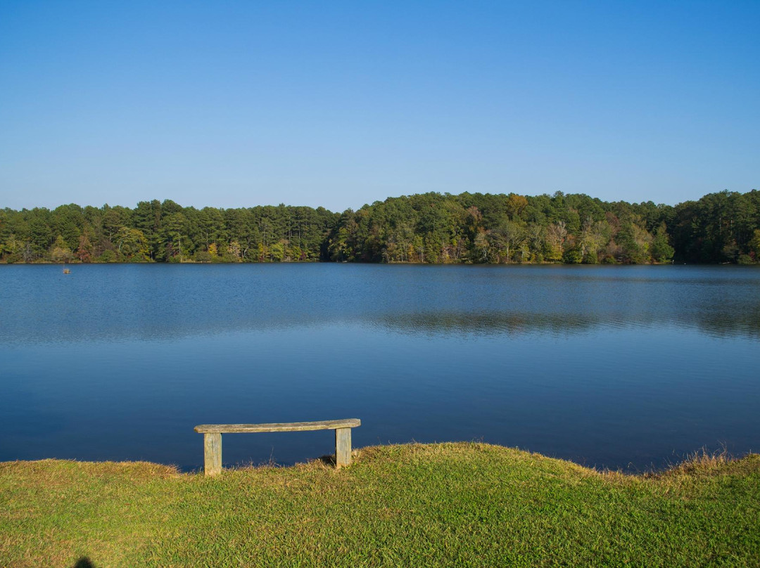 Walker County Public Fishing Lake景点图片