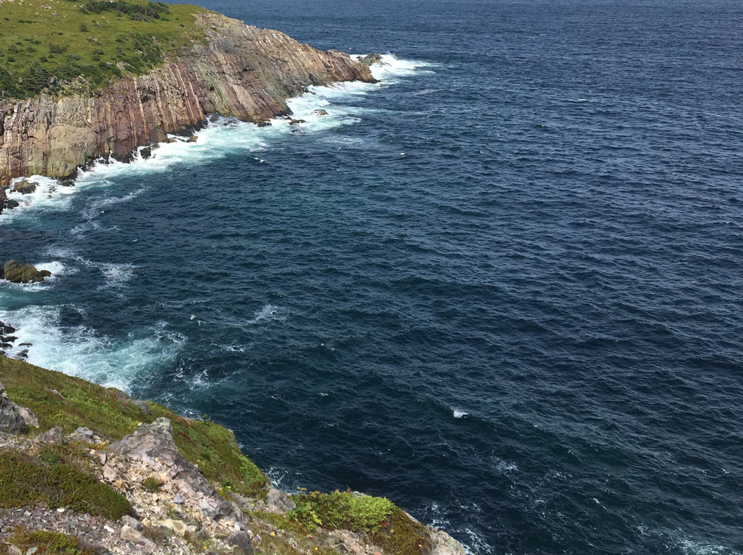 Ferryland旅游攻略图片