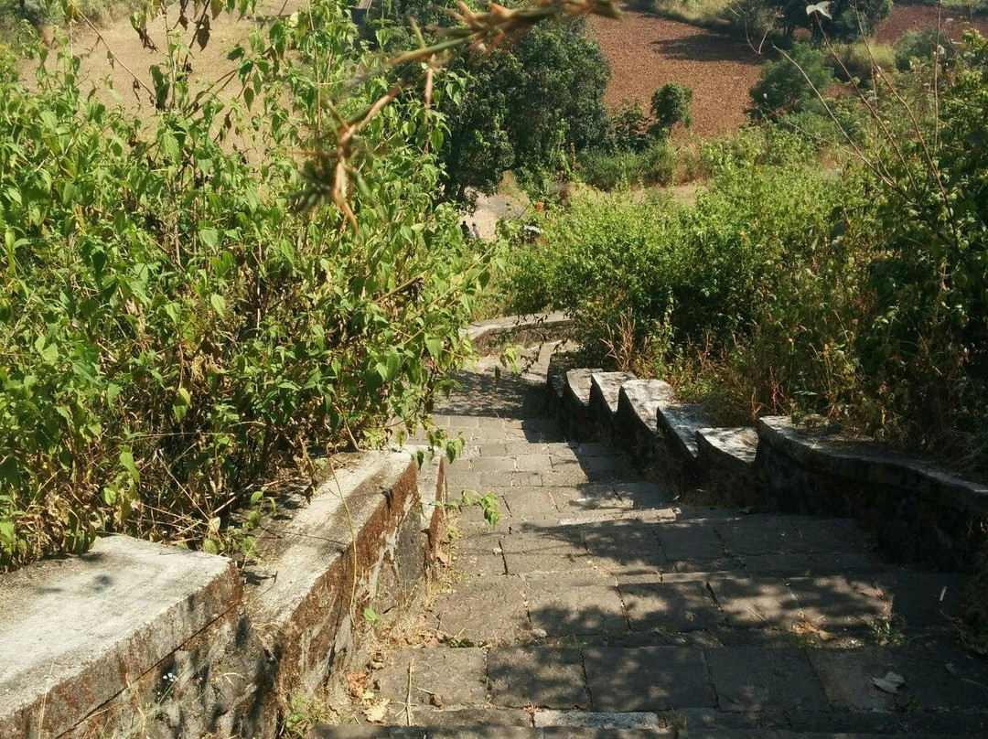 Bedsa Caves景点图片