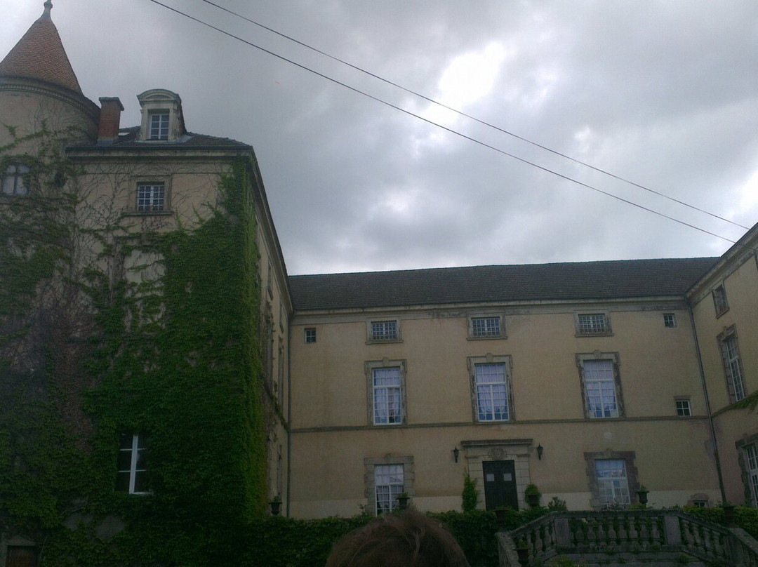 Chateau de Mons景点图片