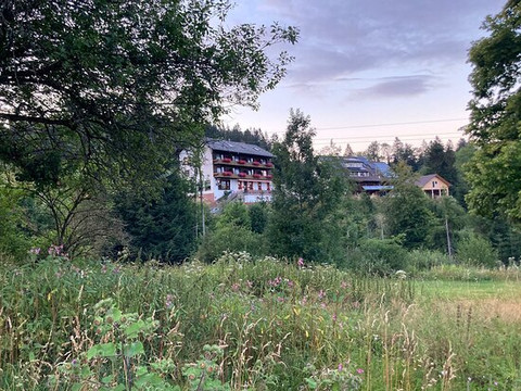 Boutique Hotel and Apartments Pension Sternen主图