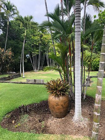 Sadie Seymour Botanical Gardens-凯鲁瓦-柯纳必去景点