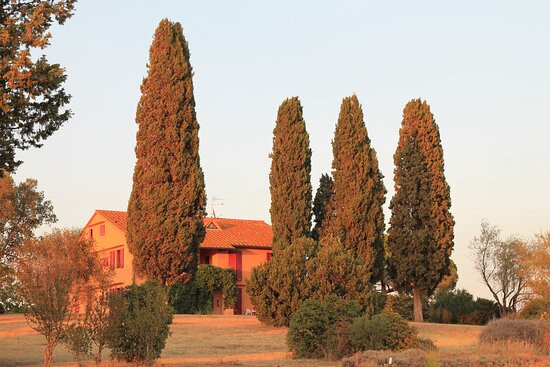 Tenuta Agricola Fraschiera主图