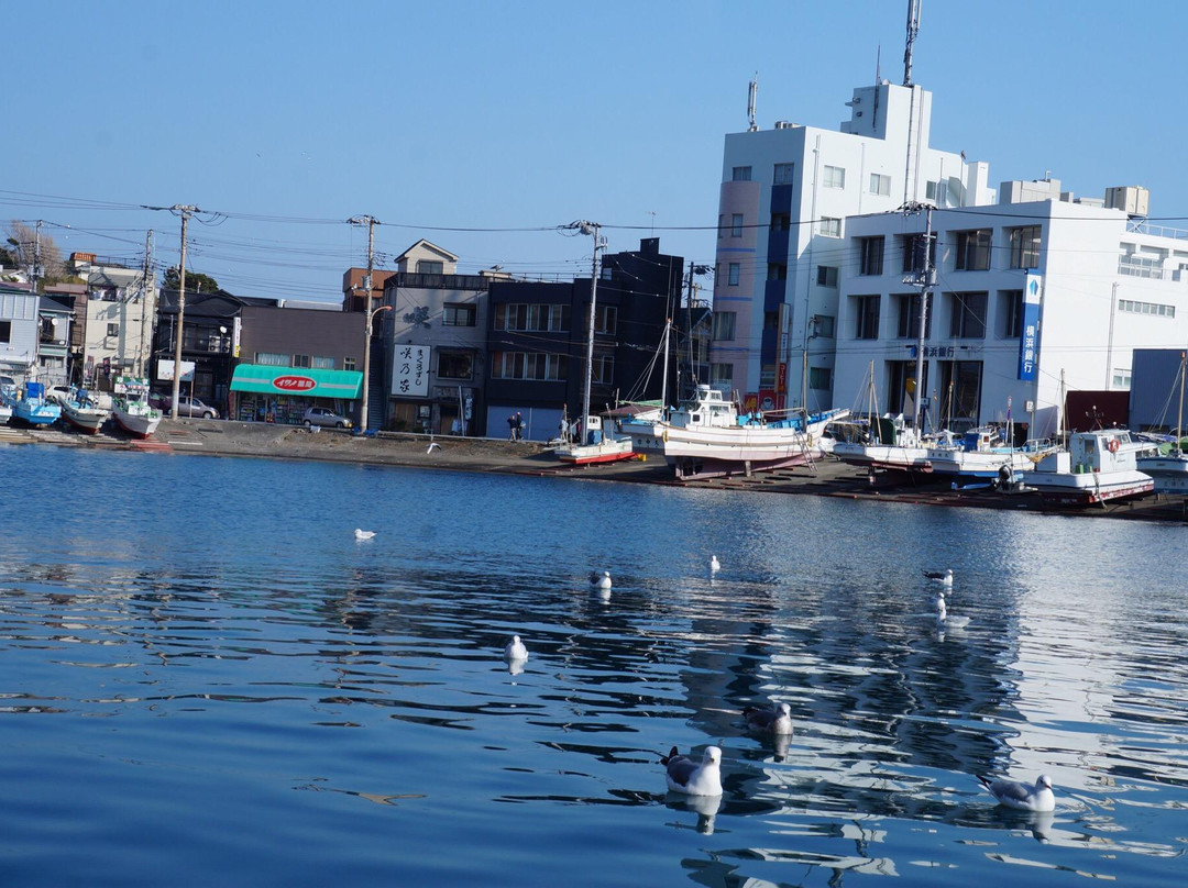 三浦市旅游景点-Misaki Port