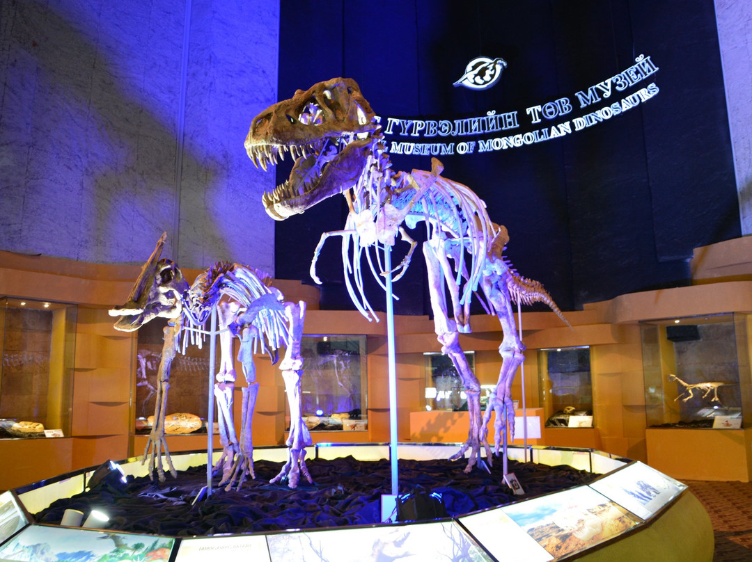 The Natural History Museum Of Mongolia景点图片