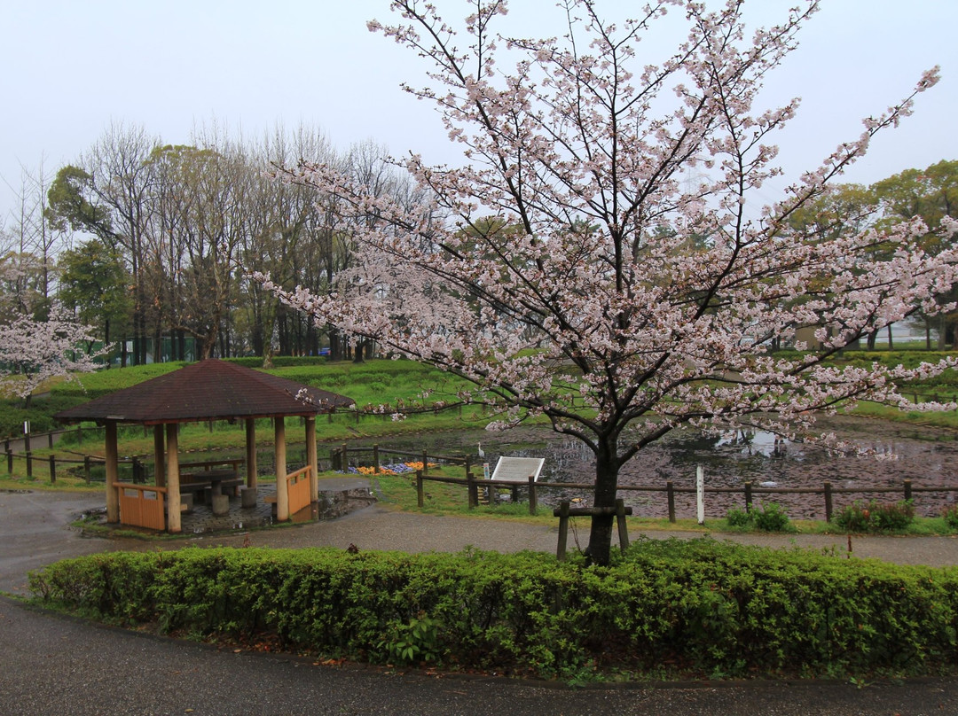 Hidaka Park景点图片