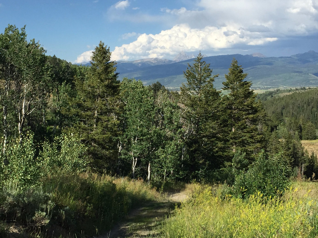 Victor旅游攻略图片