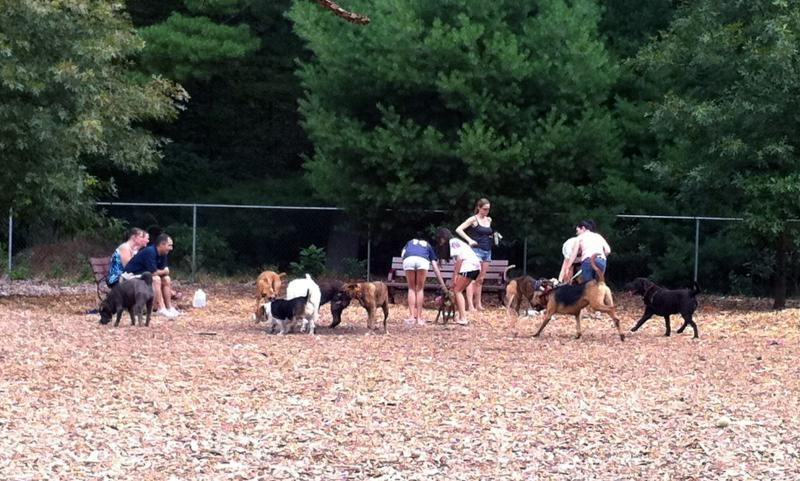 Sharon旅游攻略图片