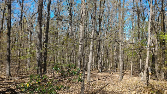 Burkittsville旅游攻略图片