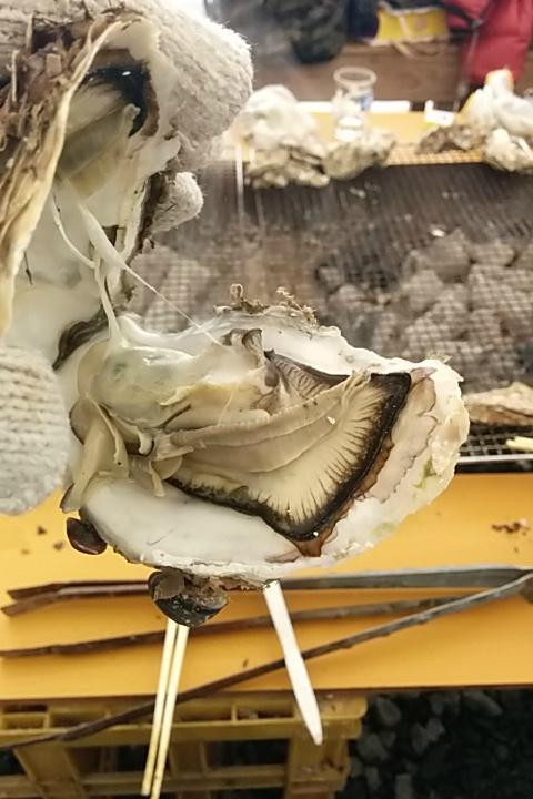 かき小屋 仙台港