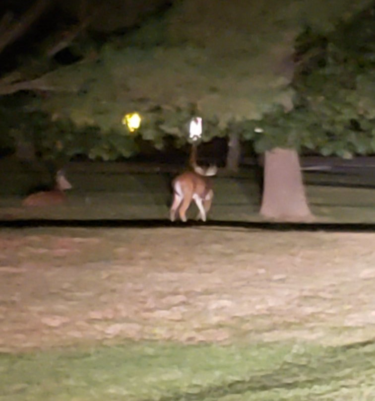 Washington Memorial Chapel-Valley Forge必去景点