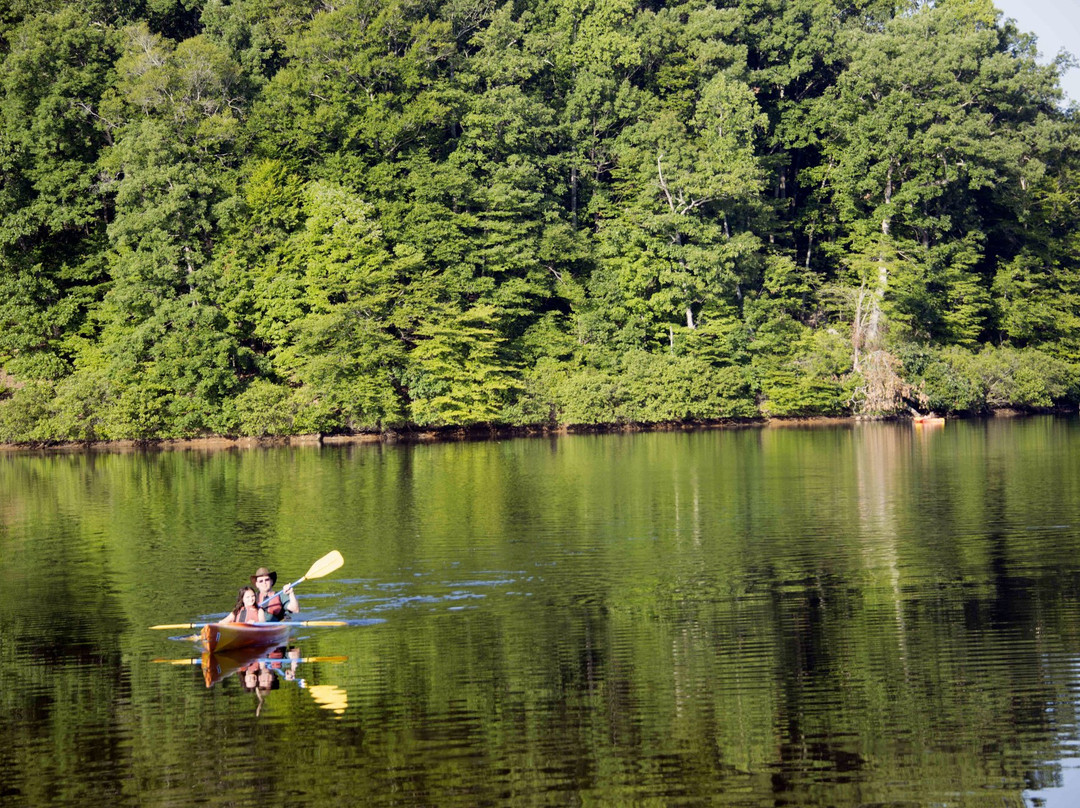 Motts Run Reservoir Recreation Area景点图片