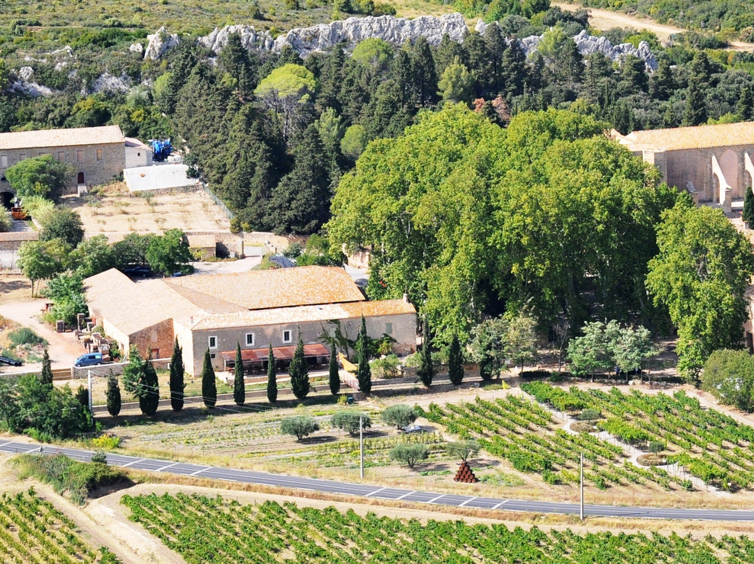 Abbaye de Valmagne