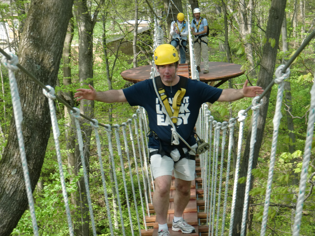 Ozone Zipline Adventures