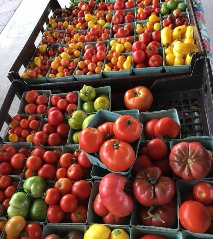 Carleton Place Farmers’ Market景点图片