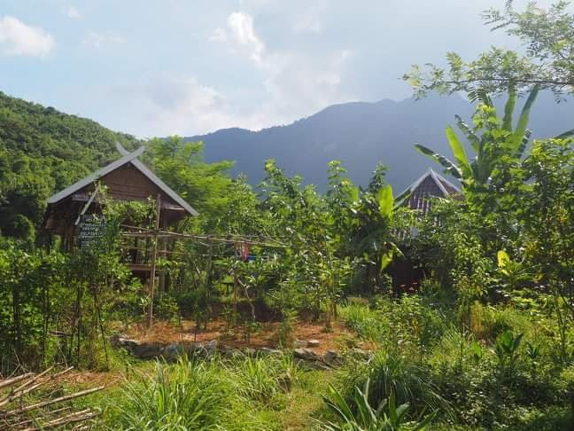 Yensabai Organic Farm-Muang Ngoi Neua必去景点