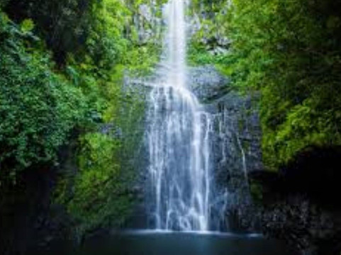 Hana Air and Ground tours