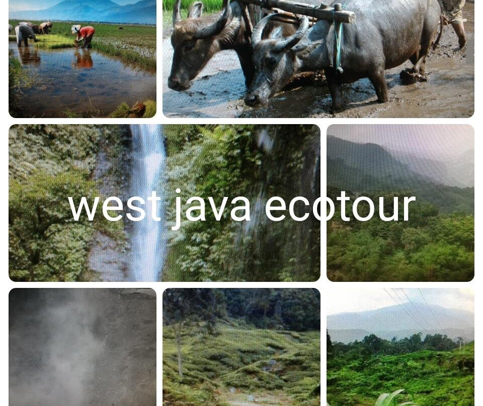 Bogor Halimun National Park Tour-茂物必去景点