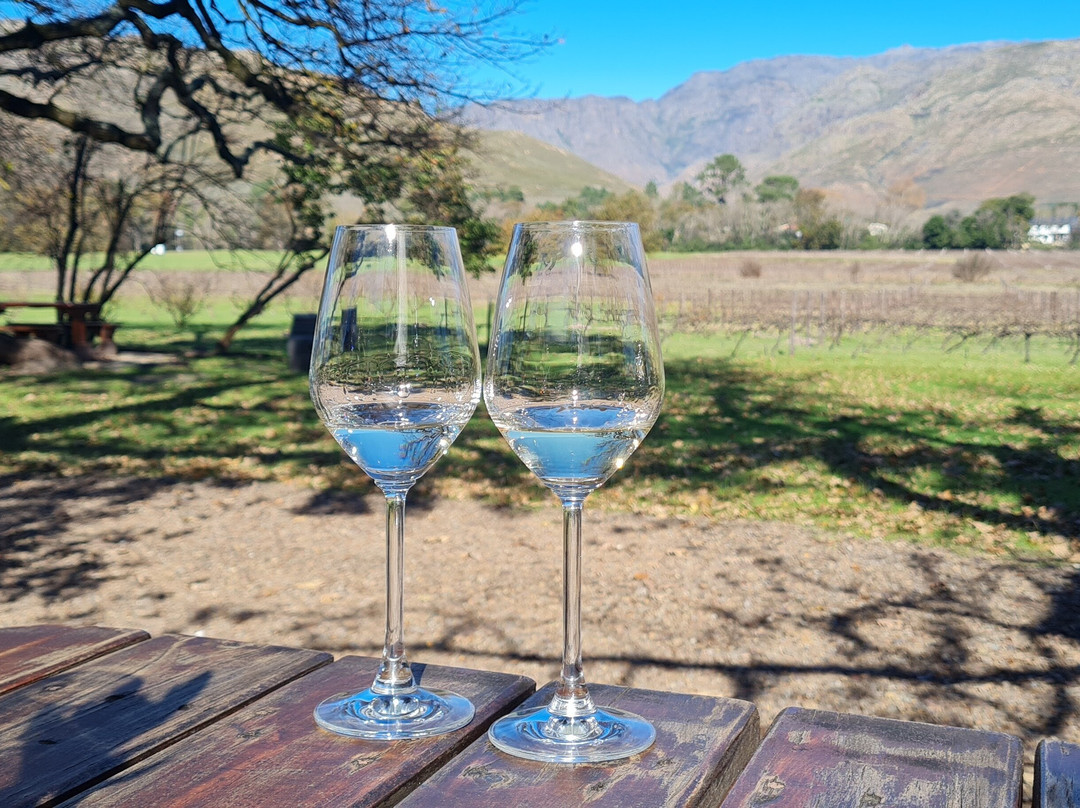 TASTE 4 TRAVEL TOURS