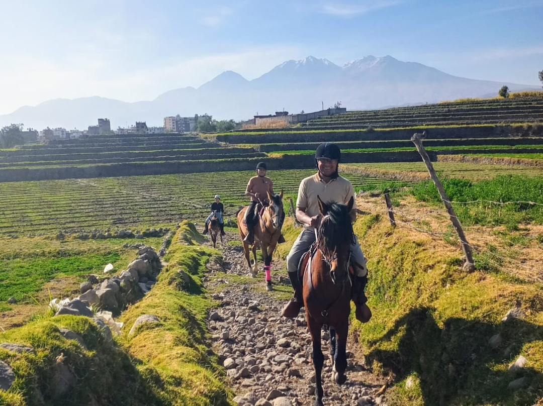 Cabalgatas Arequipa景点图片