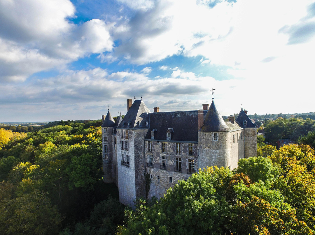 Château de Saint-Brisson-sur-Loire景点图片