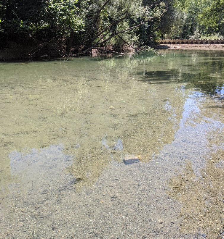 Terme di Petriolo景点图片