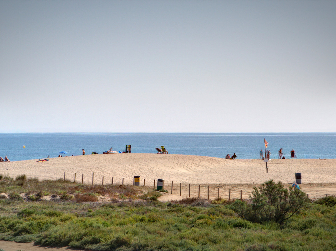 Camping La Gaviota