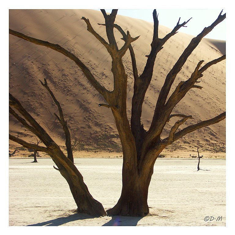 Gazzella Tours-温德和克必去景点