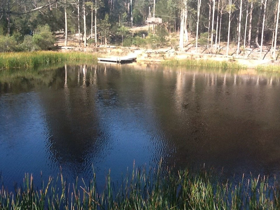 Kianinny Bush Cottages主图