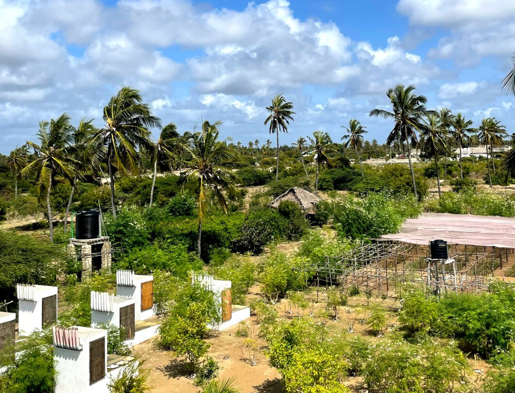 Lamu Mysteries-拉穆岛必去景点